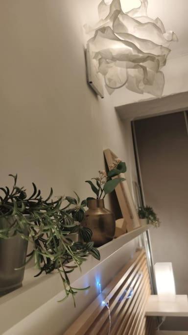 Appartement - Brando Exteriér fotografie